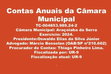 Parecer do Tribunal de Contas do Estado de São Paulo