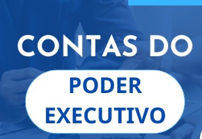  CONTAS DO PODER EXECUTIVO EXERCÍCIO 2020-TRIBUNAL DE CONTAS DO ESTADO DE SÃO PAULO